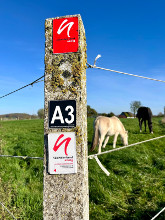 Neanderlandsteig