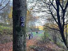 Waldweg