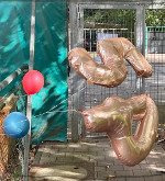 45_vom_Winde_verweht